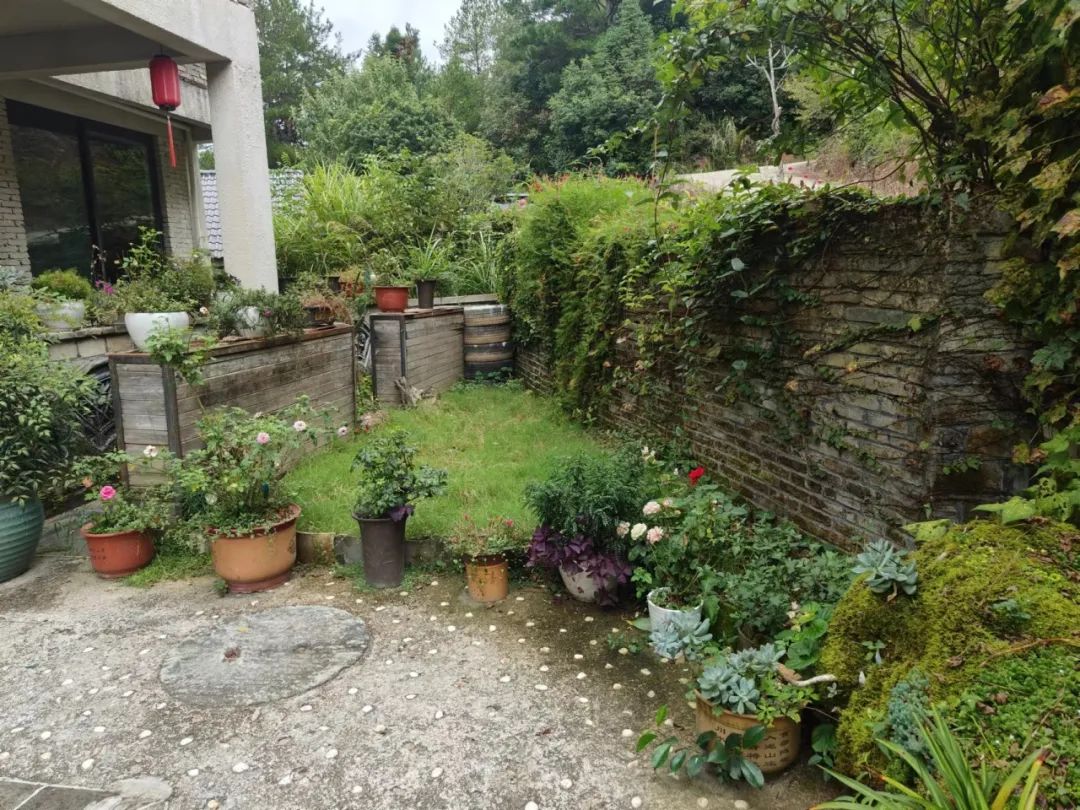 聚焦十美丨美丽庭院示范村系列展播⑦——道太乡源口村