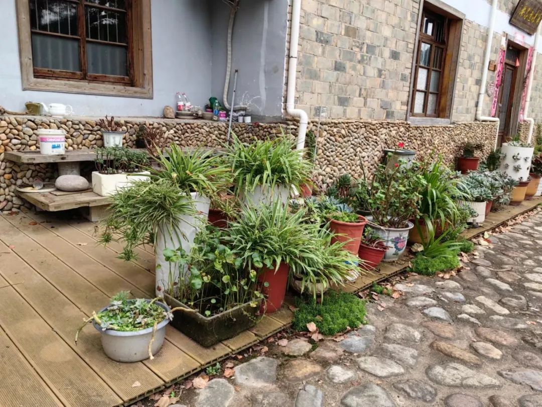 聚焦十美丨美丽庭院示范村系列展播⑦——道太乡源口村