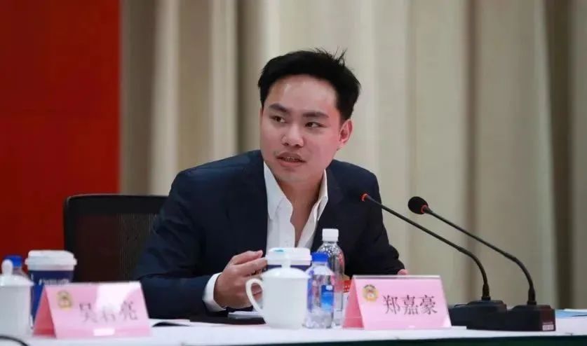 【回看全会】分组讨论之马桥镇,颛桥镇联络组篇_澎