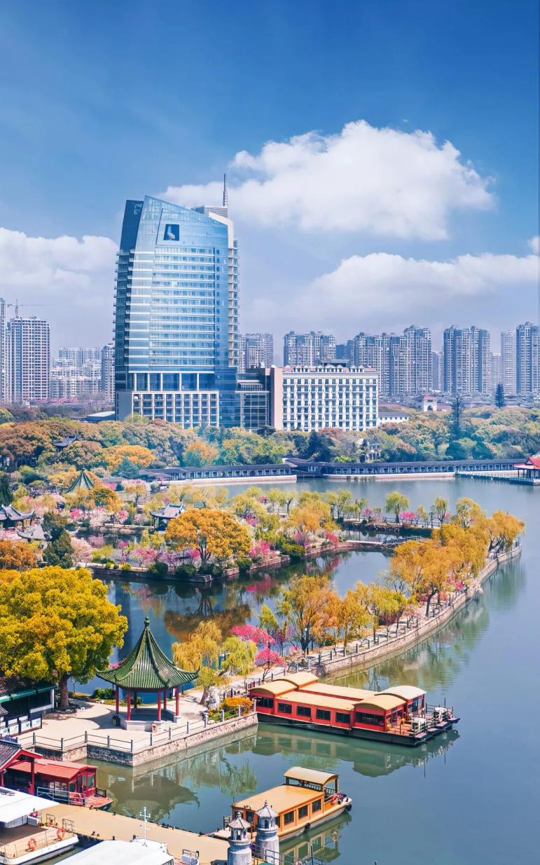 2024"黑珍珠"发榜,滨湖这家饭店再次摘钻!