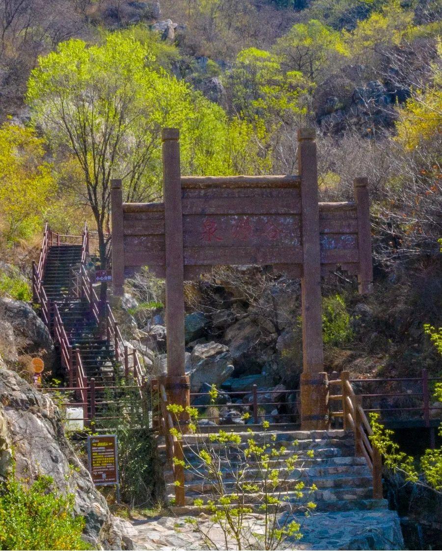 4米儿童;60周岁-65周岁老年人)地址 | 历城区马家峪村九龙山