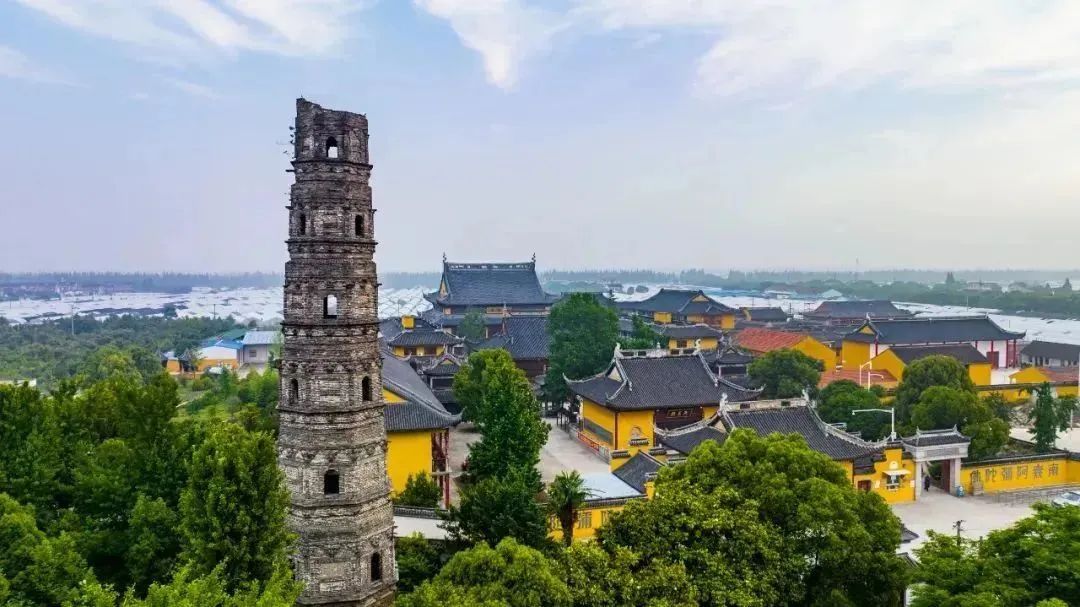 考古青浦,聊聊那些"龙"的传说