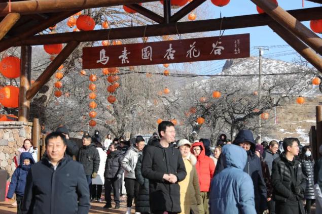 烏素圖杏花谷景區開園啦!_澎湃號·政務_澎湃新聞-the