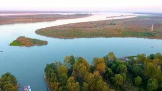 中国绿发会西洞庭湖湿地保护地（CCAfa214）成立！