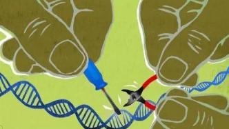 大片段DNA插入来了，基因编辑迎接新时代