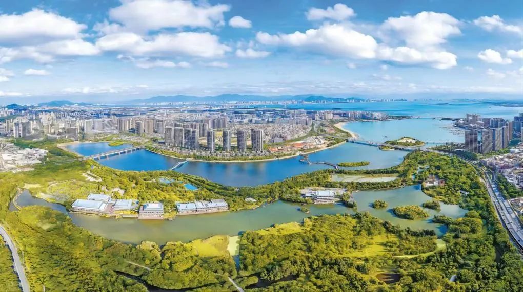央媒为五缘湾"变形记"点赞!"秘诀"原来是.