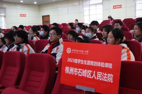 株洲市二中师生走进石峰区法院开展沉浸式生涯教育体验活动_澎湃号