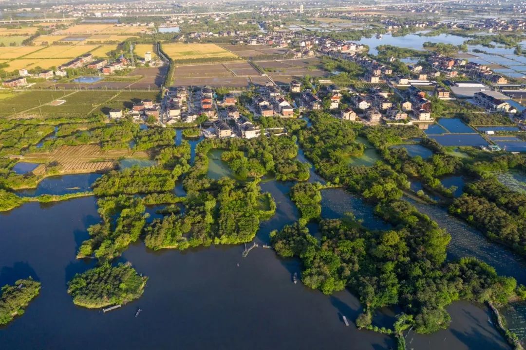 大区最前线 镇街书记说⑦ | 仁和街道:奋力谱写"智造新区 风景仁和"新
