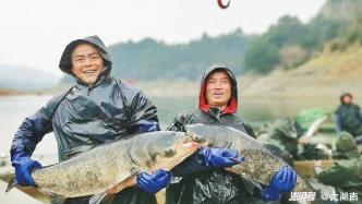湖南怀化沅陵县：冬捕起鱼大丰收