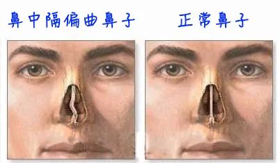 澎湃号·湃客_澎湃新闻-the paper