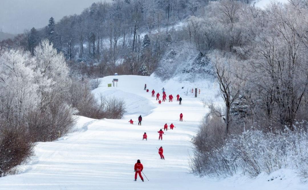 中国"雪之门"大自然不经意的挥洒给了亚布力泼天的富贵无论是初学者