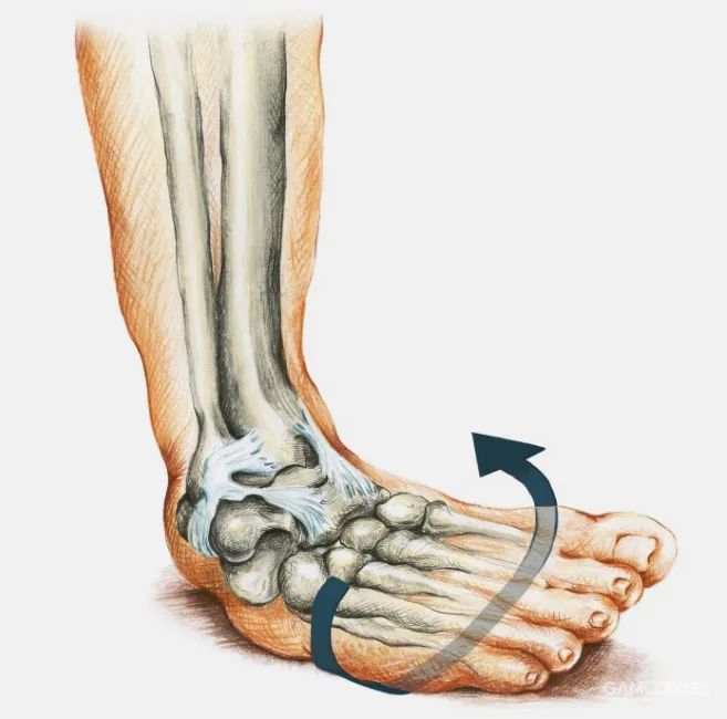腳踝扭傷怎麼辦?這些治療與康復手法請收藏→_澎湃號