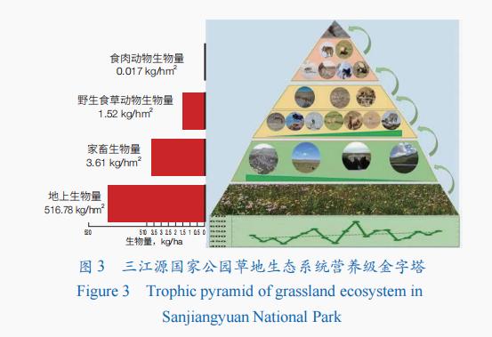 三江源國家公園生物多樣性保護創新及實踐_澎湃號·_-