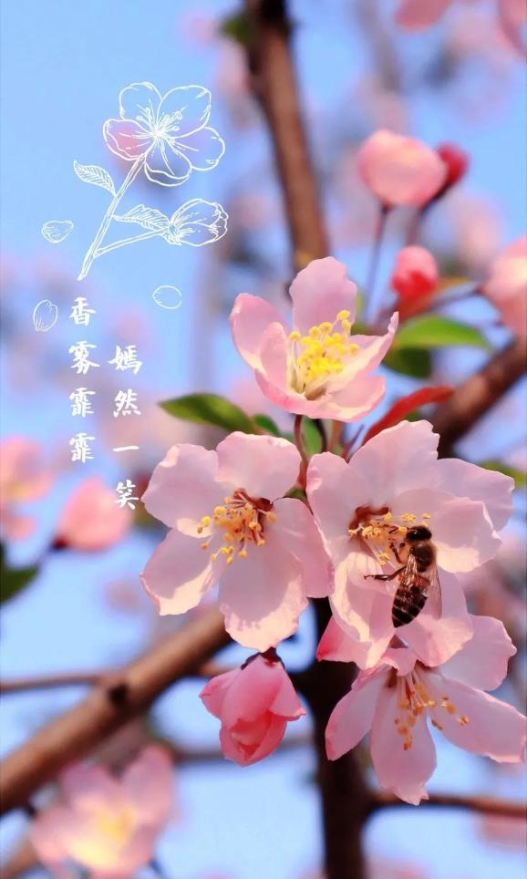 蜀山十三季 | 城市,是一座花园