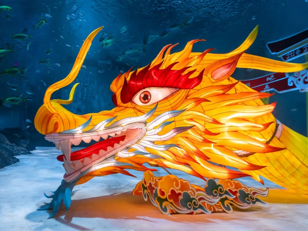 澎湃号·媒体_澎湃新闻-the paper