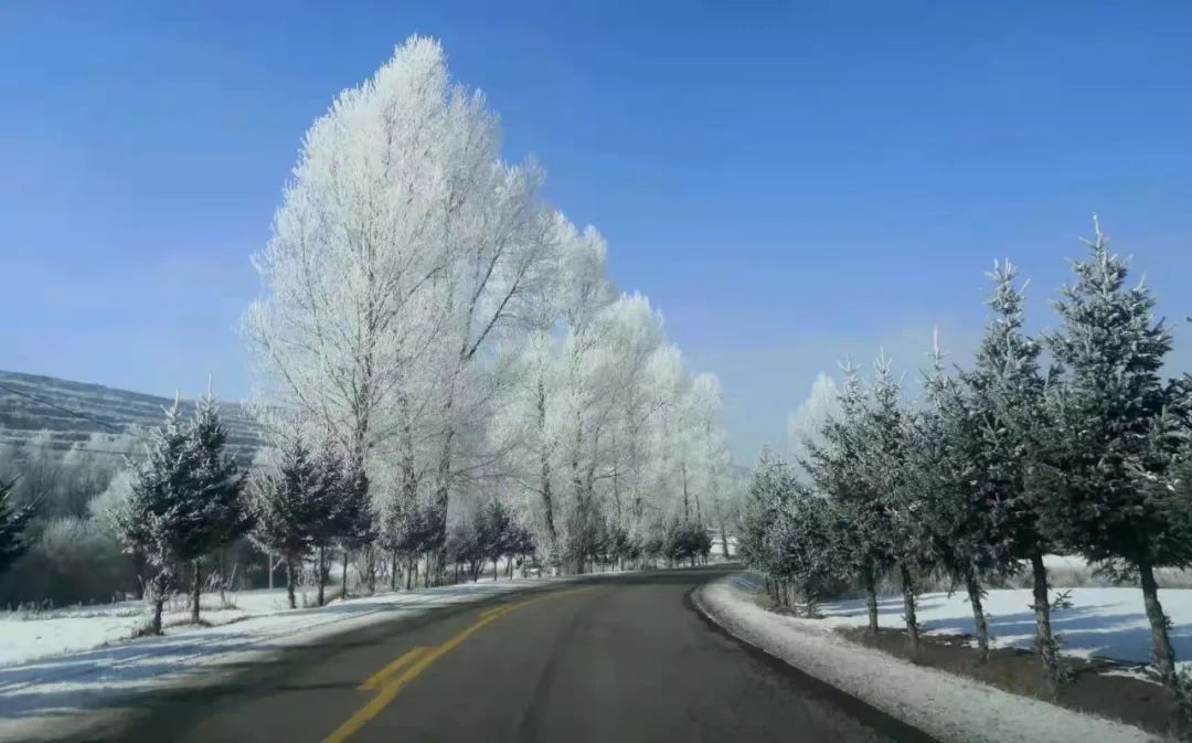 "赏雪谷雪景 品药膳美食 游红火渭源"主题,重点打造渭河源冰雪大世界