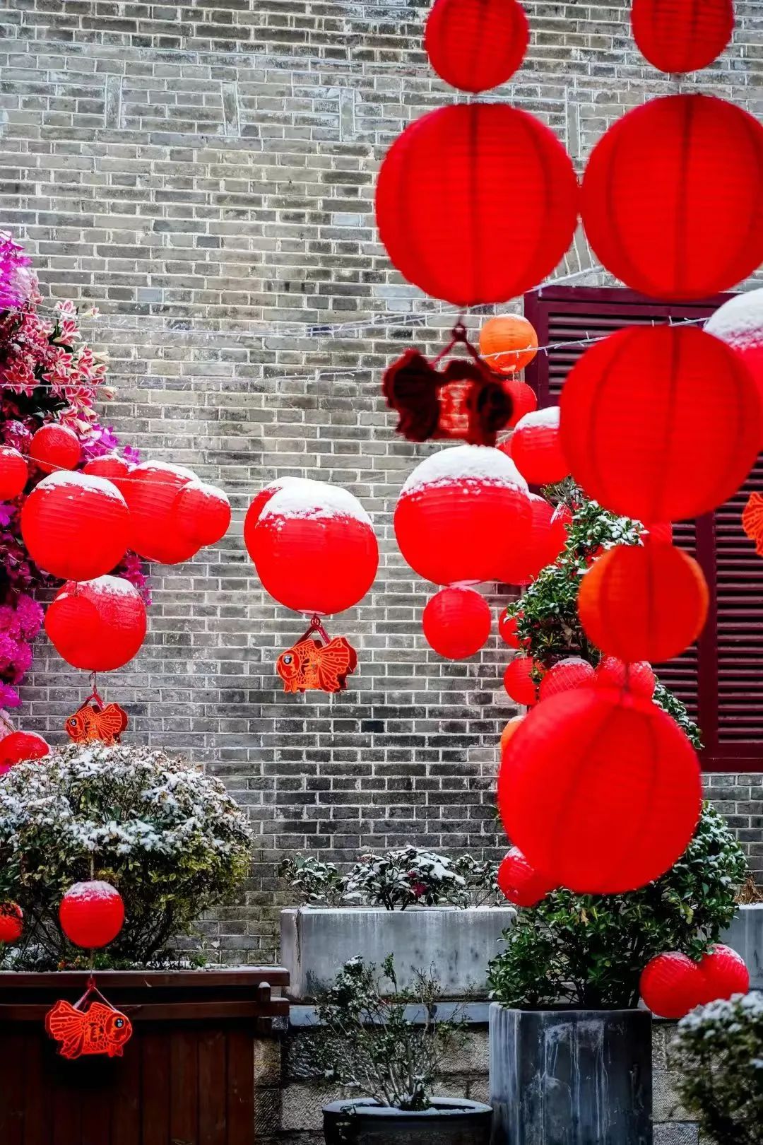 你等的雪景新片,来了!