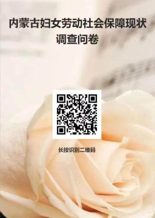 问卷调查内蒙古妇女劳动和社会保障权益篇