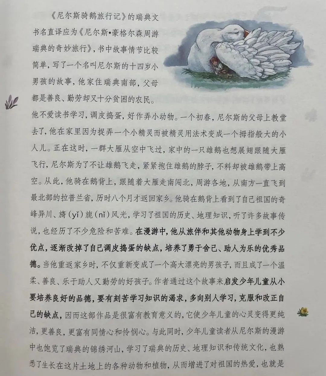 骑鹅旅行记厄兰岛图片