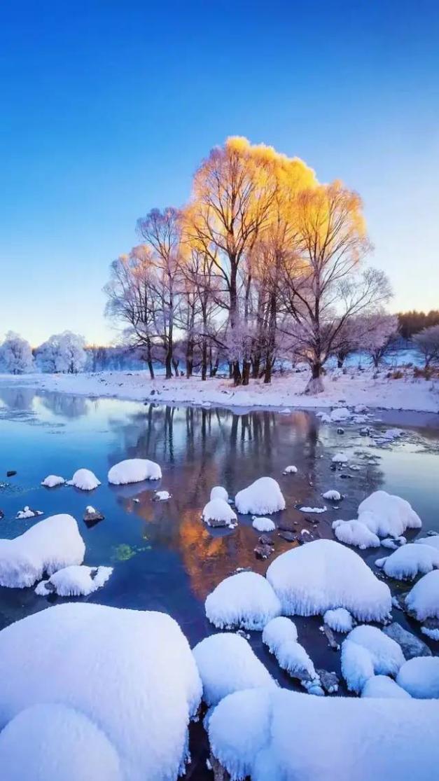 飘雪图片真实 风景图片