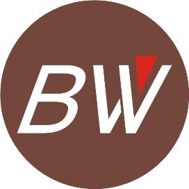 阳丽华团队开发声动力学疗法,治疗幽门螺杆菌感染_号