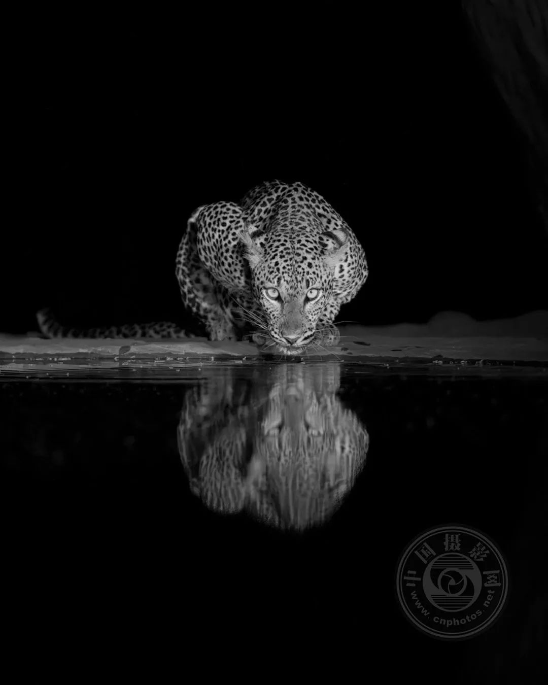 发饰 头饰 1080_1350 竖版 竖屏