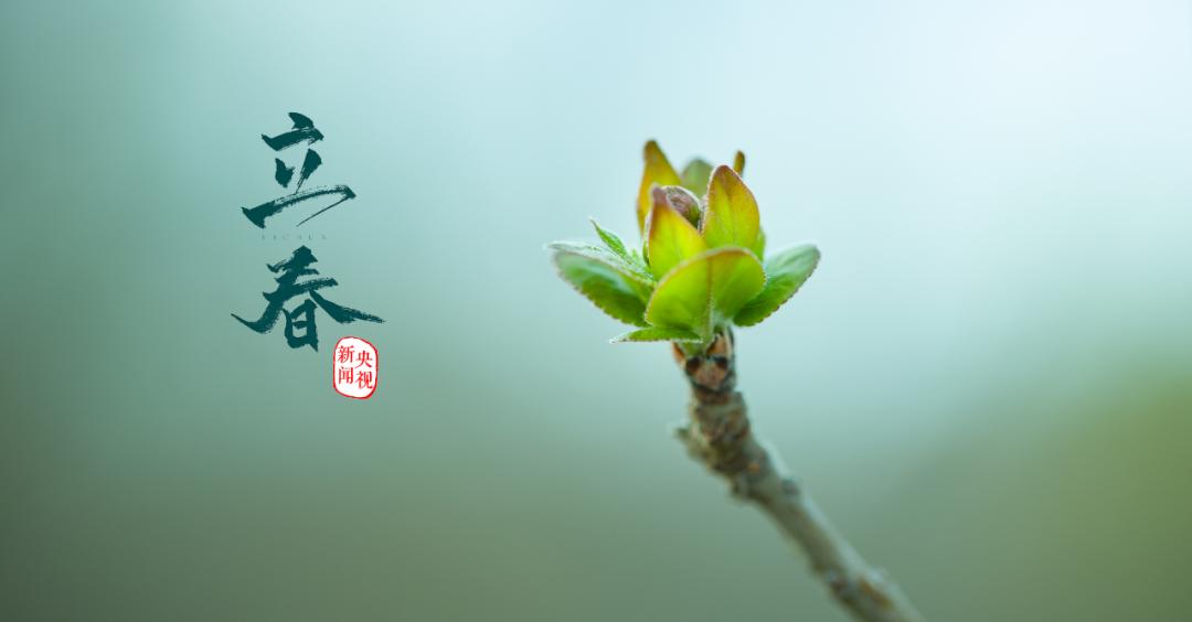 立春:一切美好,向春而生_澎湃号·政务_澎湃新闻-the