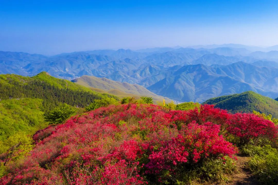 大区最前线 镇街书记说⑫