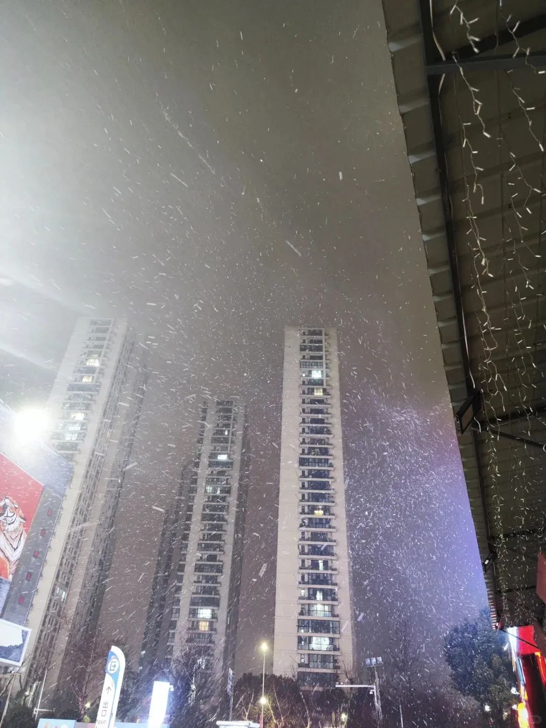 泰州下小雪,广东孩子很兴奋!