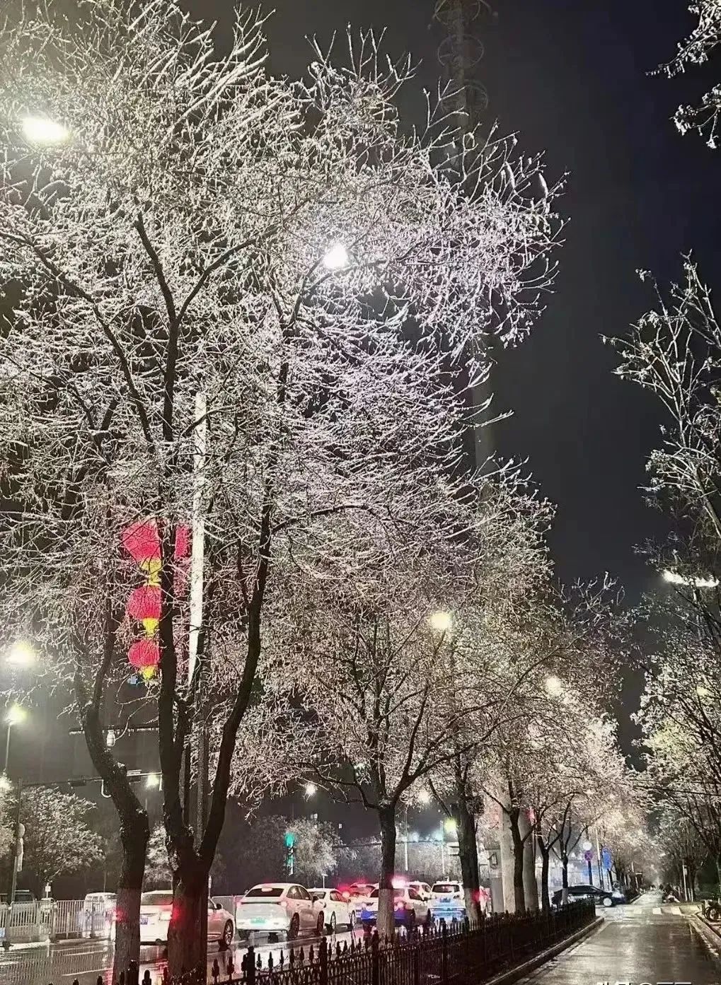 贵州冻雨图片大全图片