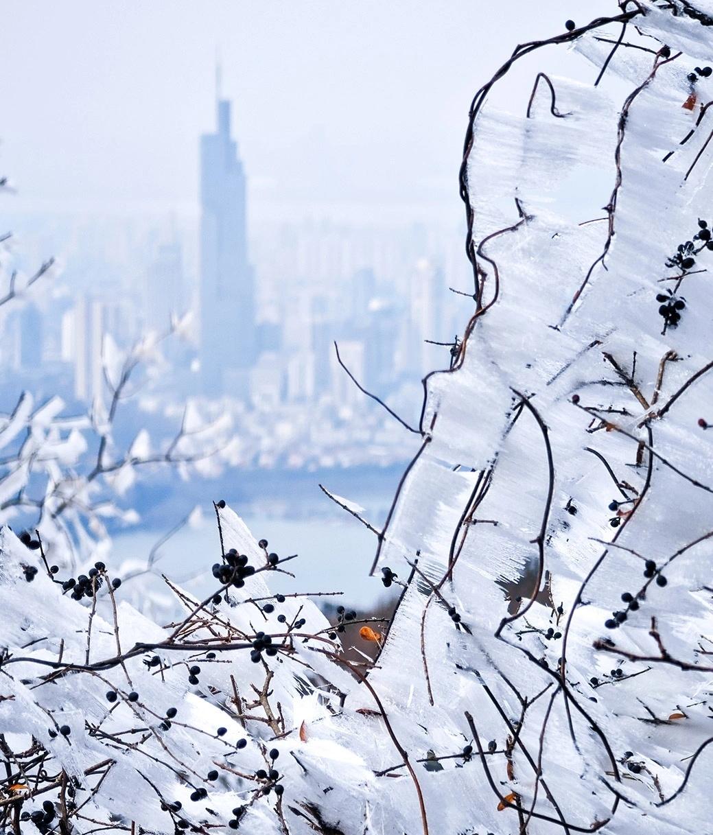 南京雪景紫金山图片