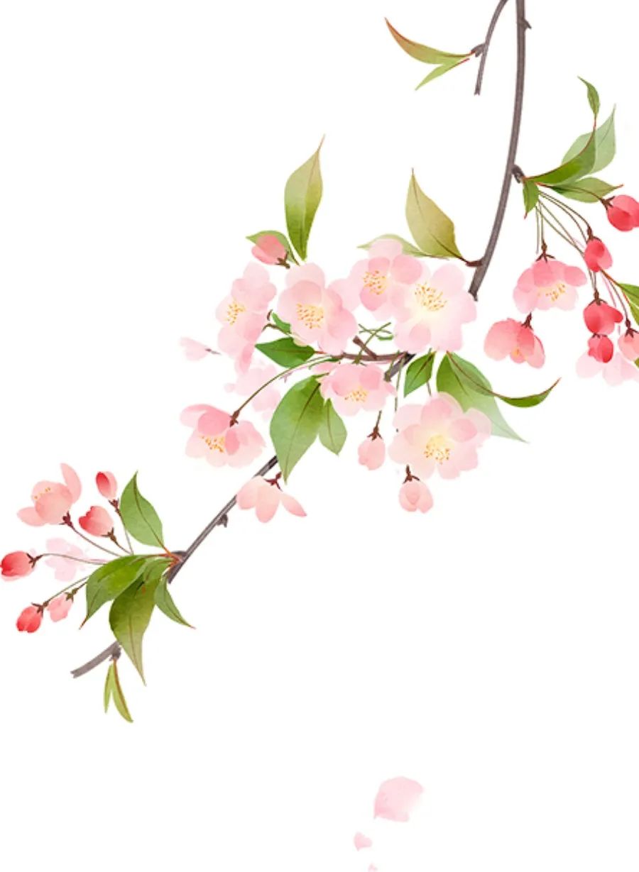 春风如贵客,一到便繁华校园里的迎春花,桃花开正盛奥运场馆熠熠生辉