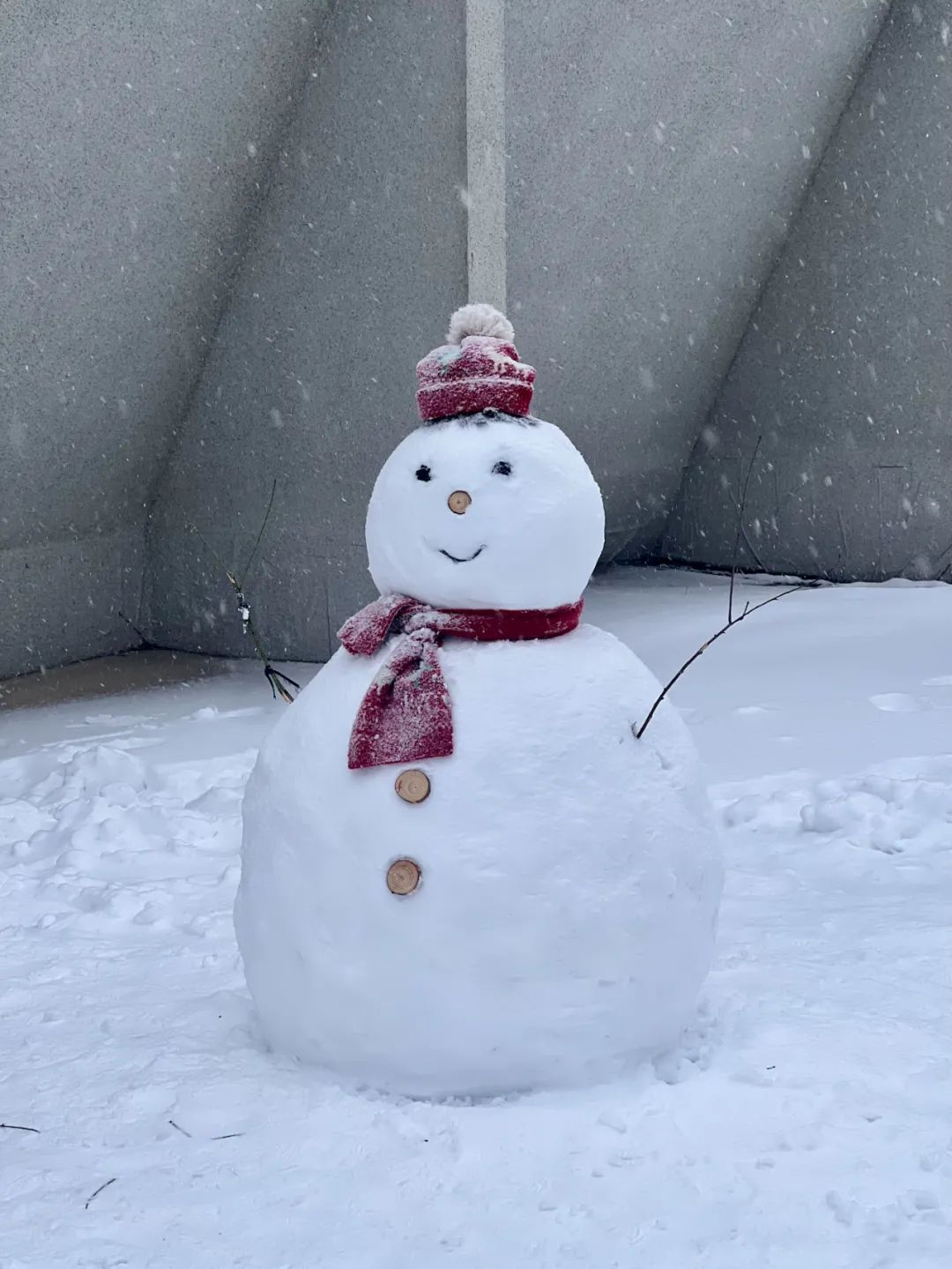 雪停了,攒了一些"可爱"给你～_澎湃号·政务_澎湃新闻-the paper