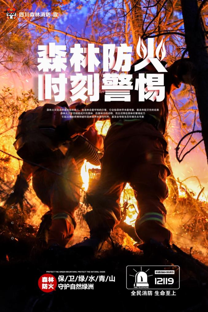 【防灾减灾】这些森林防火知识一定要知道!