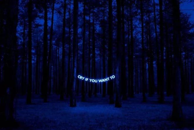 loneliness: human nature and the need forsocial connection.