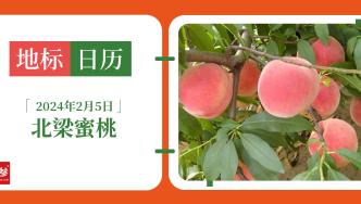 地標(biāo)日歷 | 北梁蜜桃