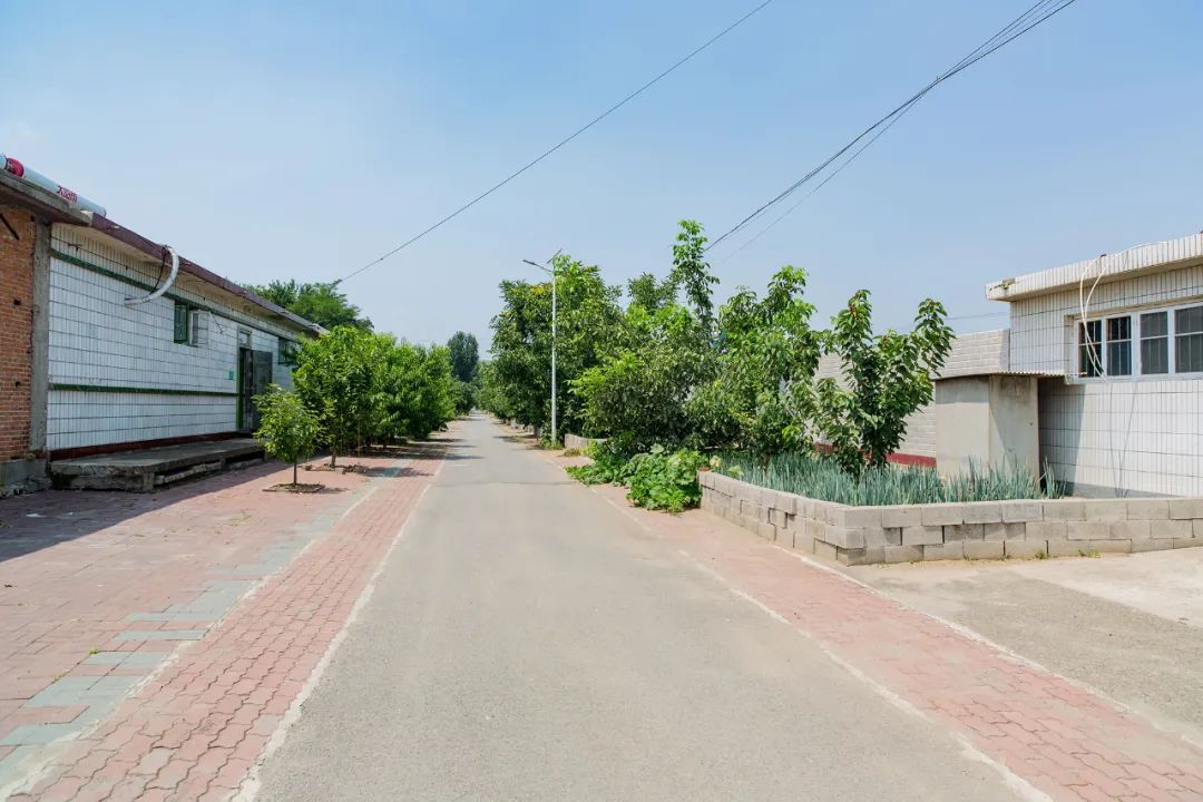 昌黎文化行朱各庄镇龙山脚下洼里村