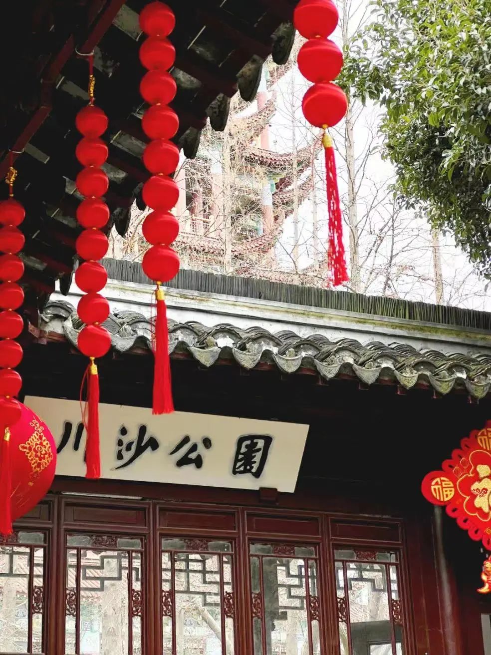 川沙公园世博文化公园上海野生动物园恭贺新春上海动物园上海植物园