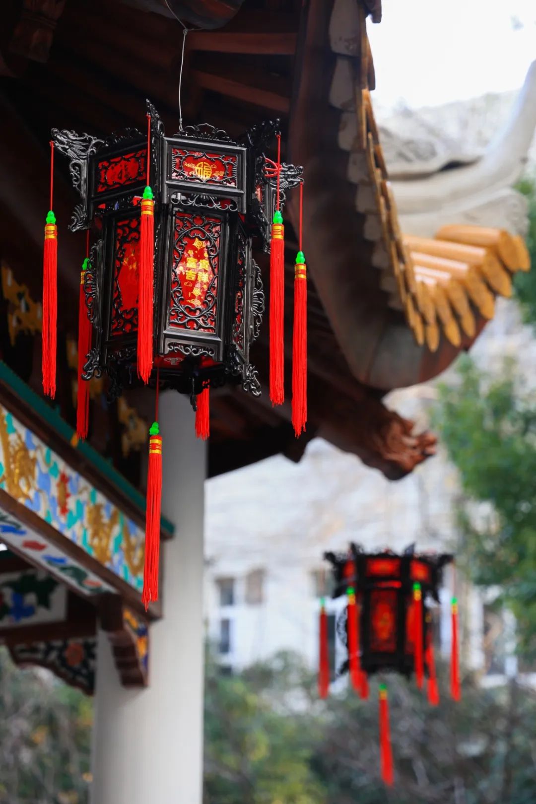 襄阳公园康健园衡山公园东安公园川沙公园世博文化公园上海野生动物