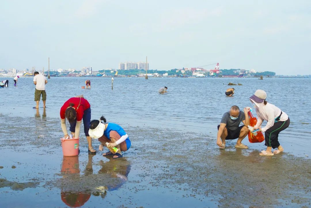 文昌高隆湾赶海图片