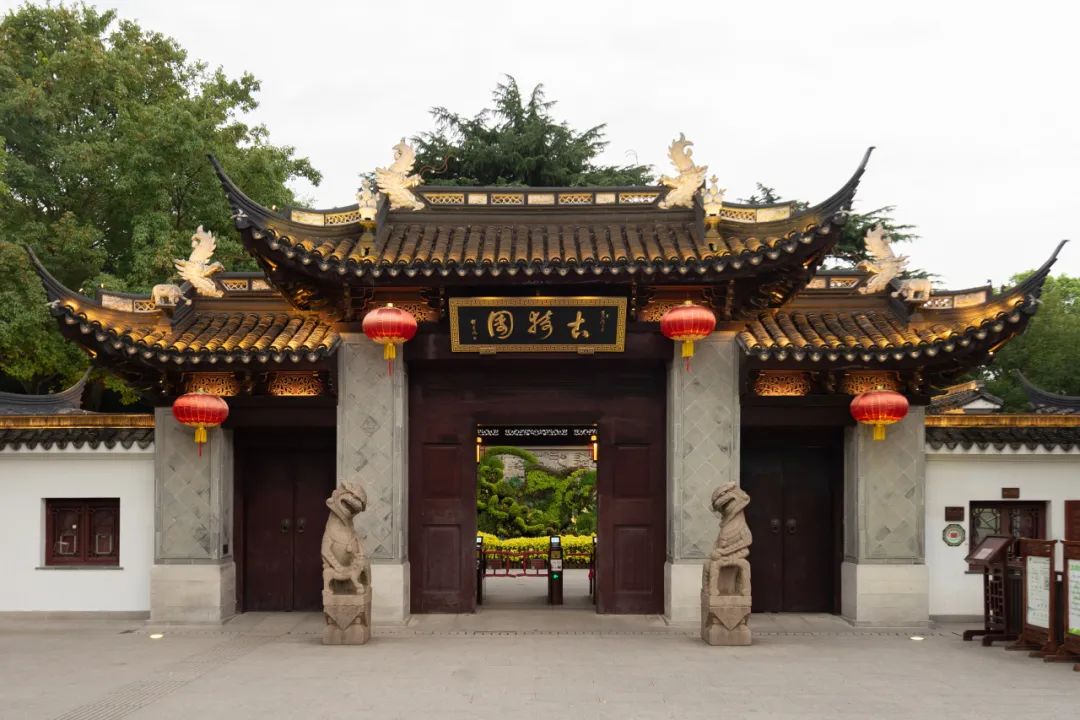 走,到古猗园寻"龙"去→_澎湃号·政务_澎湃新闻-the