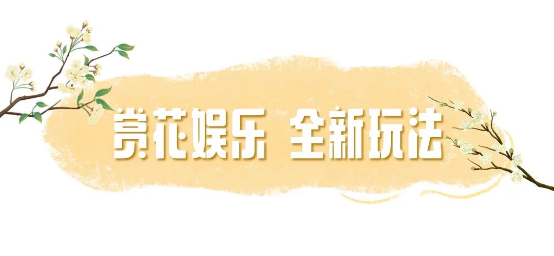 登上了央視《新聞直播間》,2023年