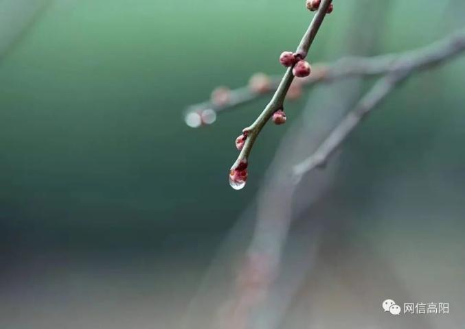 【節氣裡的大美中國】原創 | 今日立春_澎湃號·政務