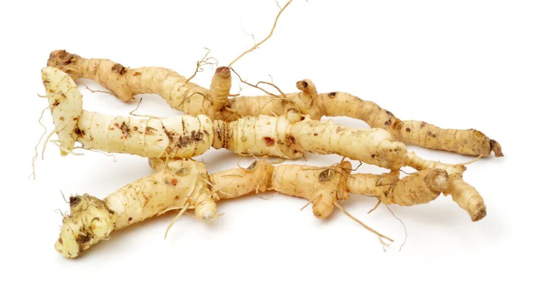 一味中药泡水喝,上养肺,中养脾,下养肾_澎湃号·湃客_