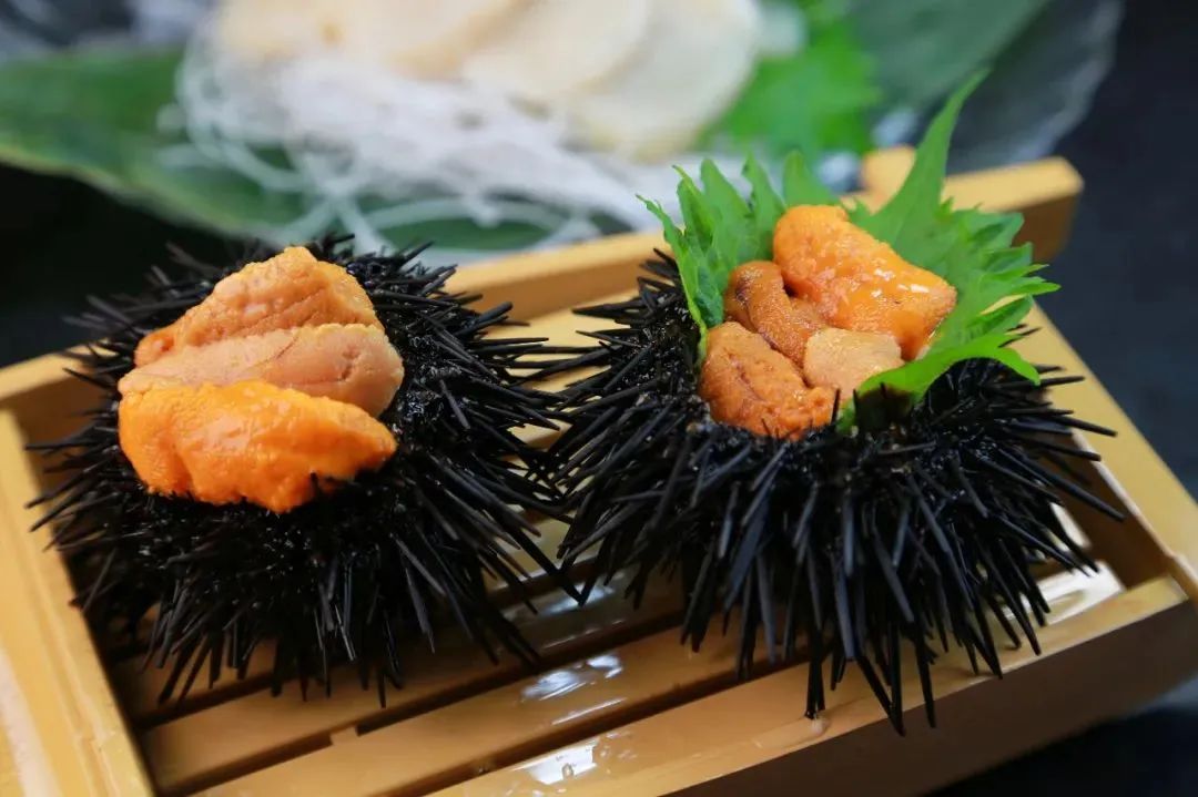 美食 寿司 1080_719