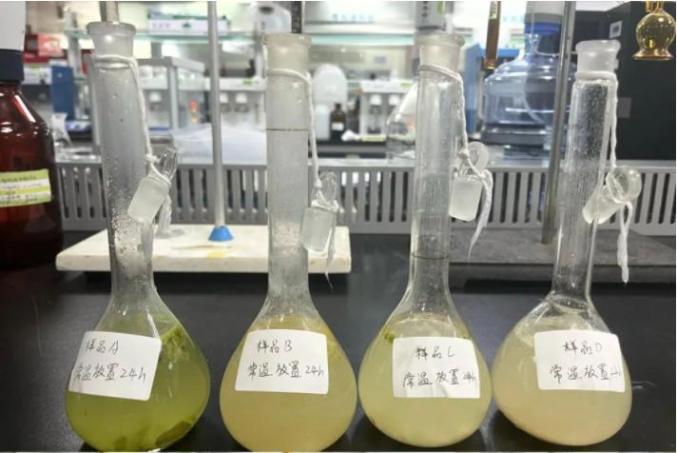 隔夜菜中亚硝酸盐到底含有多少?实验结果显示……_号