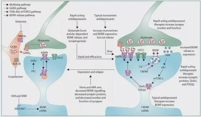 原创 李玉龙 精神科那点小事 2023-06-11 00:29 发表于北京2.