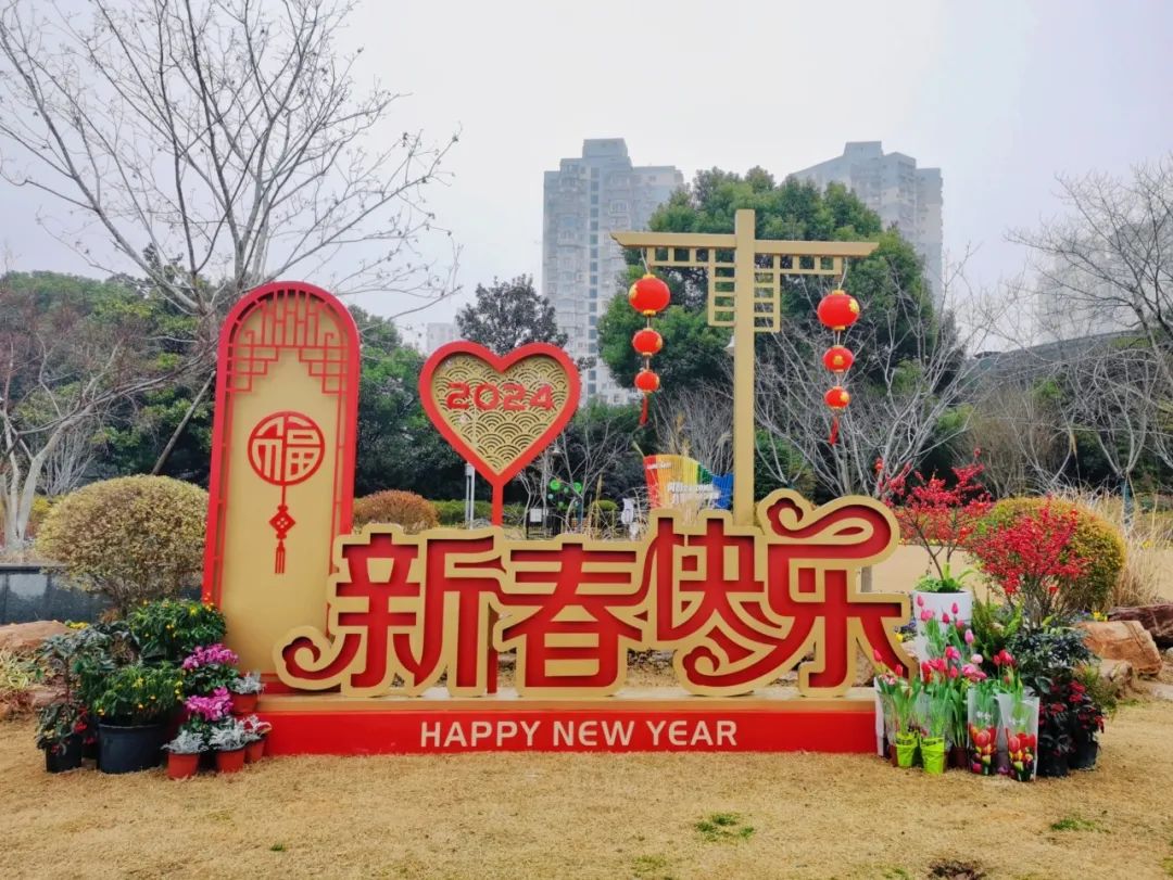 江浦公園江浦路門廣場,今昔廣場,紫藤花壇等重要點位,楊浦共用約6萬株