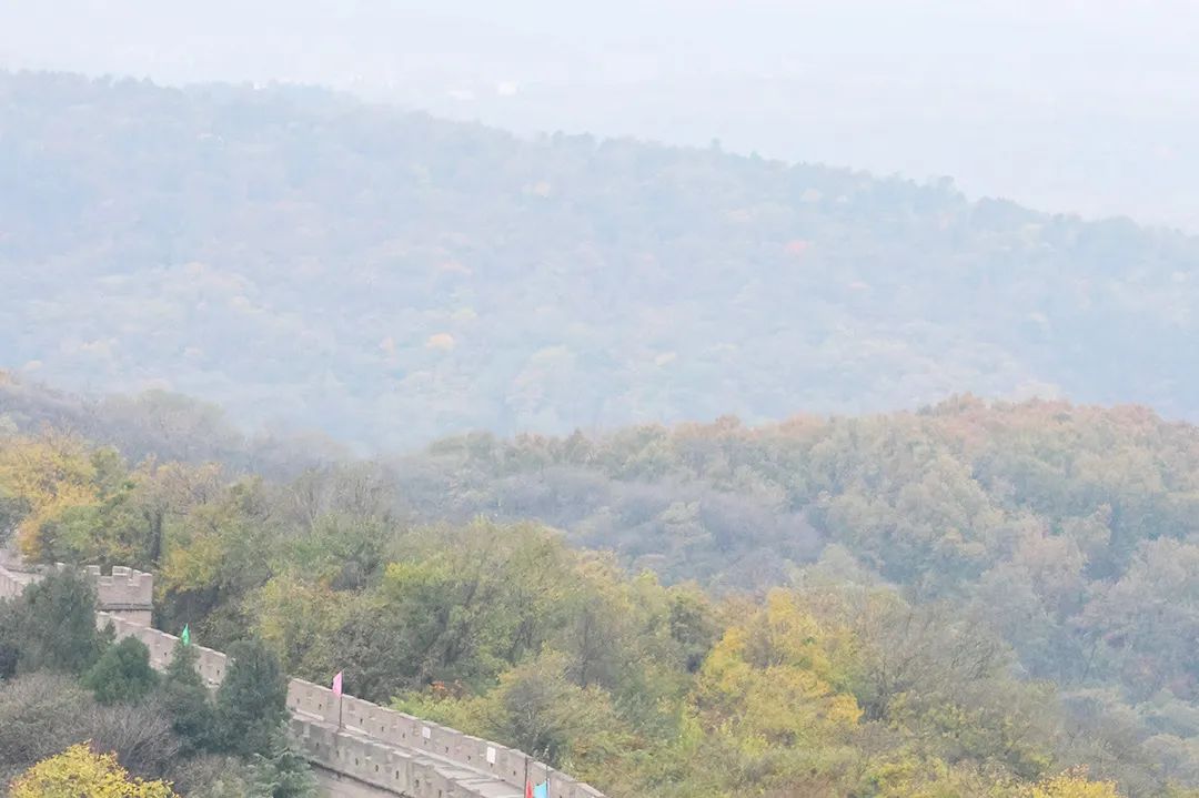 人勤春來早 功到秋華實_澎湃號·政務_澎湃新聞-the