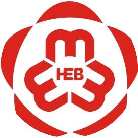 龙腾新时代 巾帼贺新春|河北省优秀女性代表为姐妹们